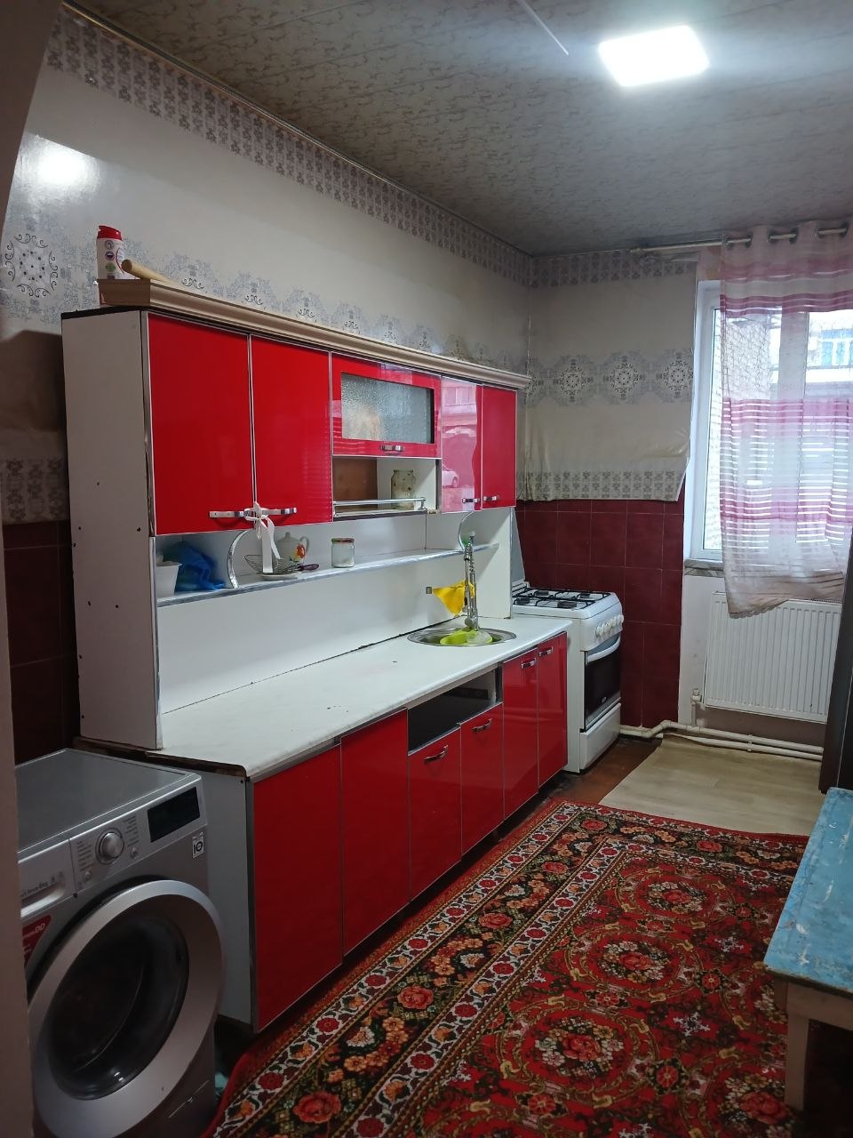 kichkina erkatoy rasmi 5